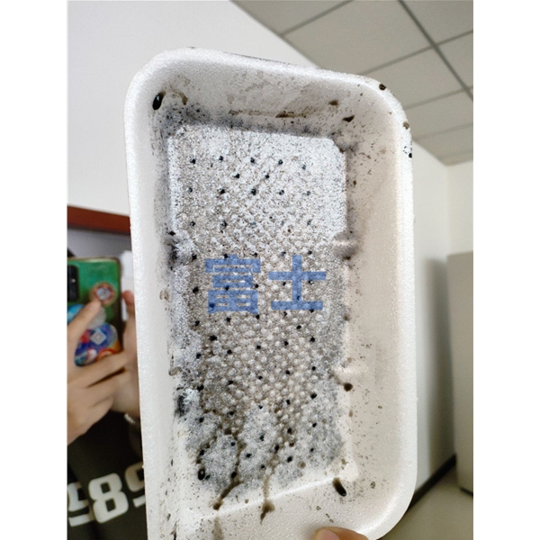 PS一次性吸水餐盒生產設備